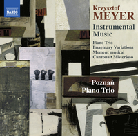 Krzysztof Meyer: Instrumental Music / Poznan Piano Trio