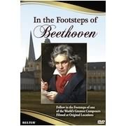 In The Footsteps Of Beethoven